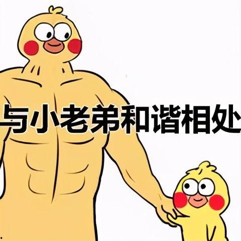 吃瓜小黄鸡表情包,趣味横生的网络文化现象