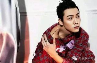 哪些明星可以看到牛蛙肉,探寻牛蛙肉生成背后的明星身影