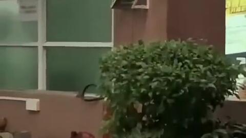 河北最新吃瓜事件新闻,揭秘网络热议背后的真相