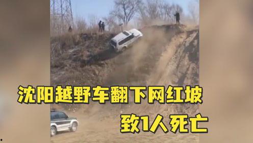 西峡谷网红坡事件后续,真相揭晓与反思