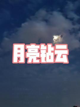 西安今日头条生活文章,探寻古城生活新篇章，一文览尽今日热点