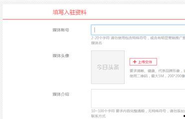 今日头条怎么账号重置,轻松找回您的账号