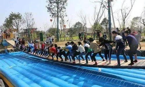 网红摇摆桥视频,挑战极限的刺激体验