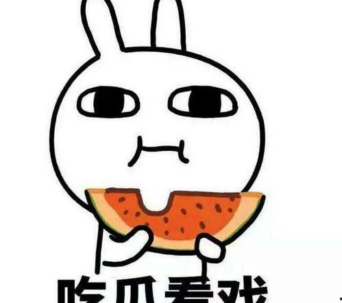 博学开朗的吃瓜网友,揭秘娱乐圈那些不为人知的幕后故事