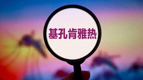 广东大朗镇今日头条,今日头条聚焦下的繁华与发展”