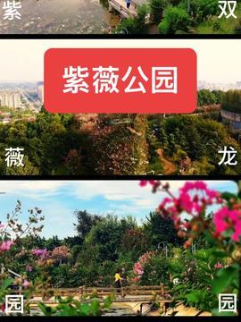 今日头条邵阳旅游景区,揭秘湖南邵阳的五大绝美旅游景区