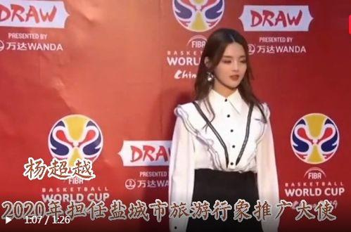 明星推广大使,明星推广大使助力品牌新篇章