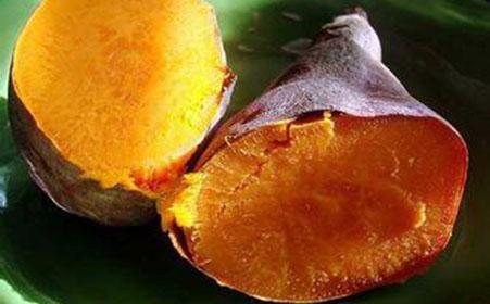 地瓜老师瓜婆,传承农耕智慧，描绘乡村新画卷