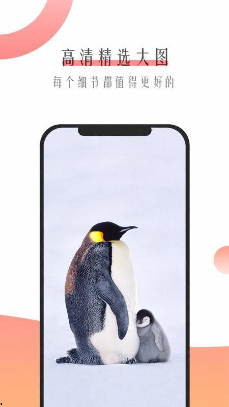 舌尖爆料探店视频大全下载,揭秘热门美食店铺，带你领略地道风味