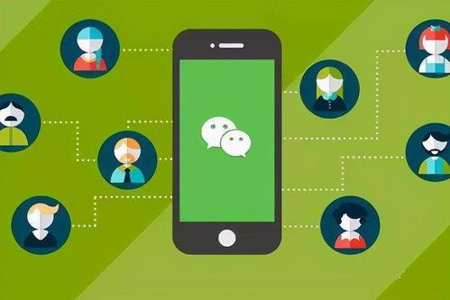 小程序最新爆料看点软件