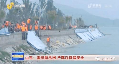 山东泰安枣庄新闻头条网,聚焦城市发展新动态