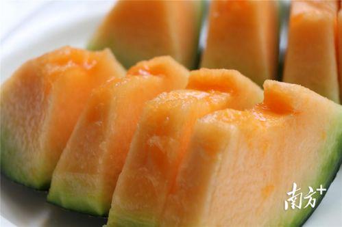 大湾区吃瓜,吃瓜群众的味蕾探险记