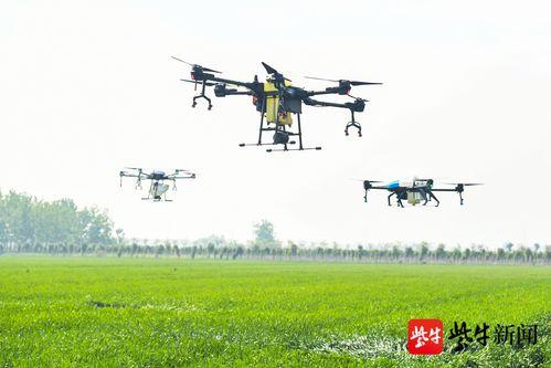 网红无人机演示视频下载,网红演示视频中的科技魅力与创意风采