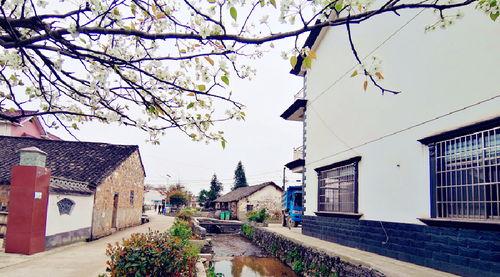 泾县新桥乡新闻头条,聚焦乡村振兴新篇章