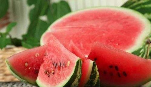 住在瓜地吃西瓜,品尝自然馈赠的甜蜜滋味