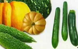 吃瓜本兮,揭秘娱乐圈背后的真实故事