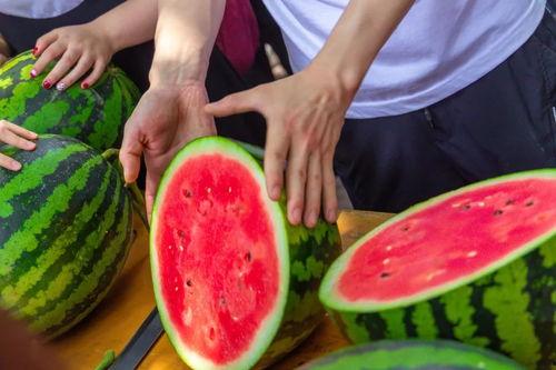 吃瓜免费无偿,揭秘网络娱乐的无偿盛宴