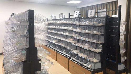 网红空心砖直播,揭秘新型建筑材料魅力