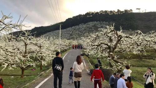 贺州八步打卡网红景点,探寻这座城市的魅力角落