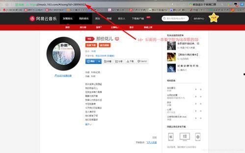 头条文章怎样添加音乐,头条文章中如何巧妙添加音乐，提升阅读体验