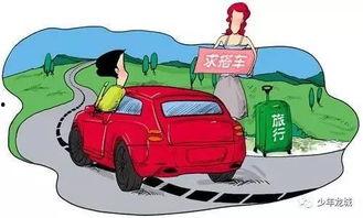 搭车扒门缝吃瓜,揭秘搭车族的独特生活态度