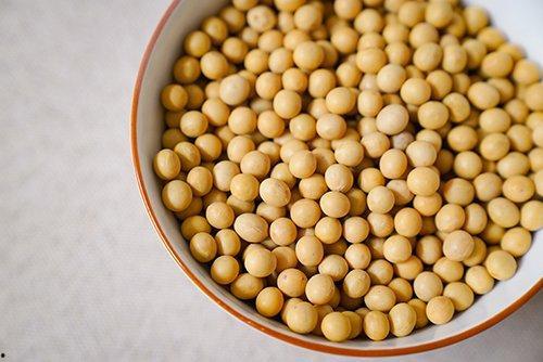 二辰爆料小黄豆视频,带你走进神秘事件背后