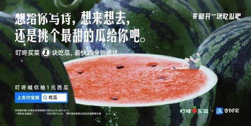 毕业季吃瓜文案,揭秘校园那些事儿