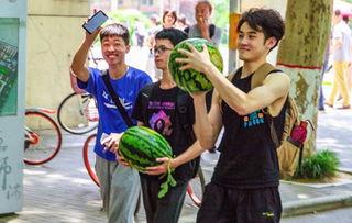 济南学校吃瓜,揭秘校园里的那些“秘密”