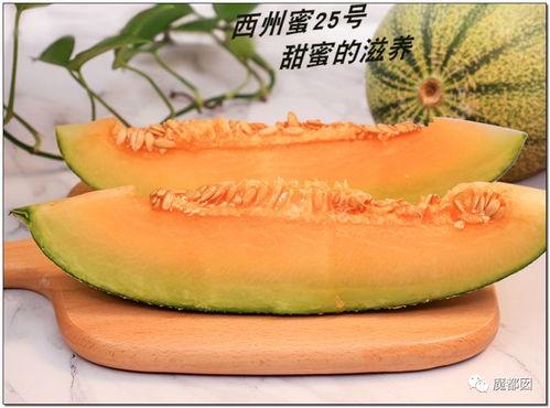 吃瓜婆网站,带你领略网络舆论的狂欢盛宴