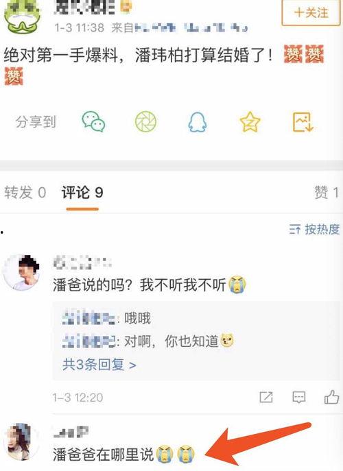 潘伟博最新爆料消息视频,事件真相与幕后黑幕