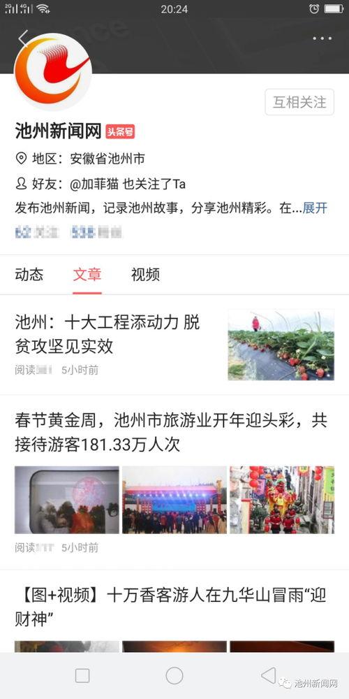 如何找回我的新闻头条号,新闻头条号失而复得指南