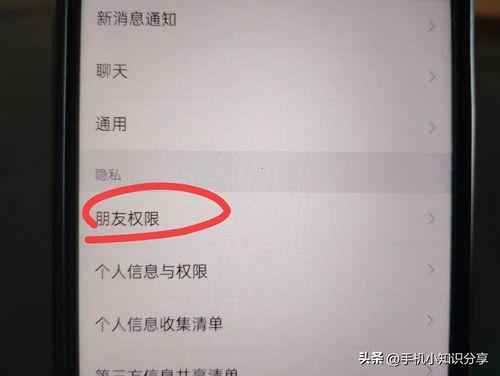 怎么和头条视频对话,探索全新对话体验