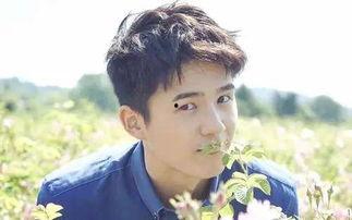 翼宿男明星,翼宿男明星的璀璨人生