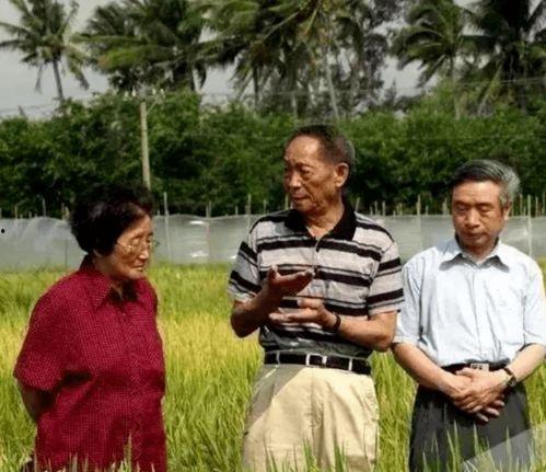 主动吃瓜,主动吃瓜，洞察明星幕后故事