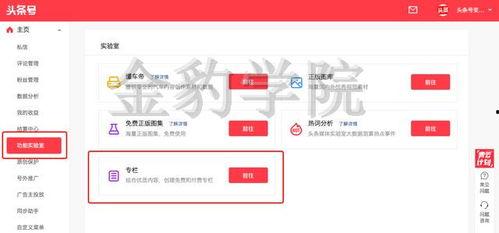 今日头条专栏怎么上,揭秘如何轻松上热门