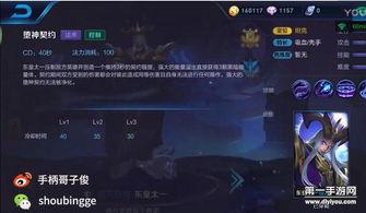 王者东皇爆料视频下载