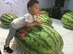 怀宁吃瓜事件最新消息新闻