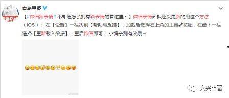 吃瓜微信封号,吃瓜群众微信被封号背后的真相