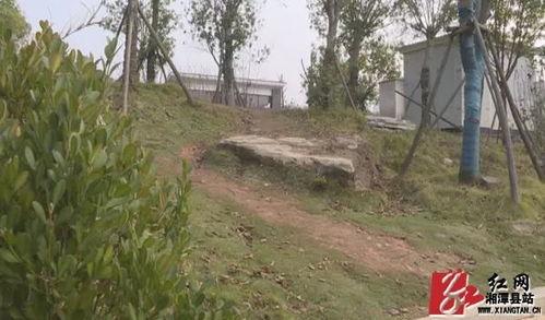 绿化带石头条尺寸,揭秘绿化带石头条尺寸的奥秘与美学”