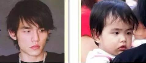 有一张明星脸,明星脸背后的惊人相似之谜